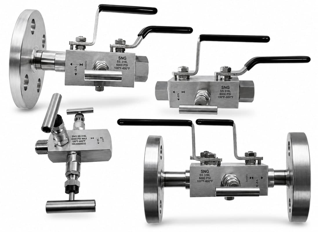 Double Block Bleed Valve visual
